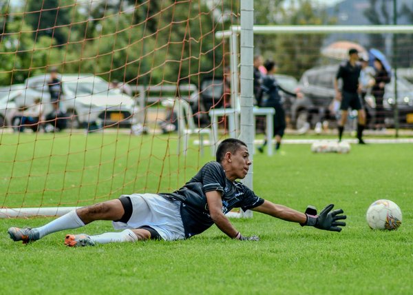 Focus sur la famille Gracie et leur rôle dans le Jiu-jitsu brésilien